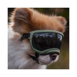 Hundebrille REX Specs V2 Sol & Sikkerhedsbrille XSMALL Sort